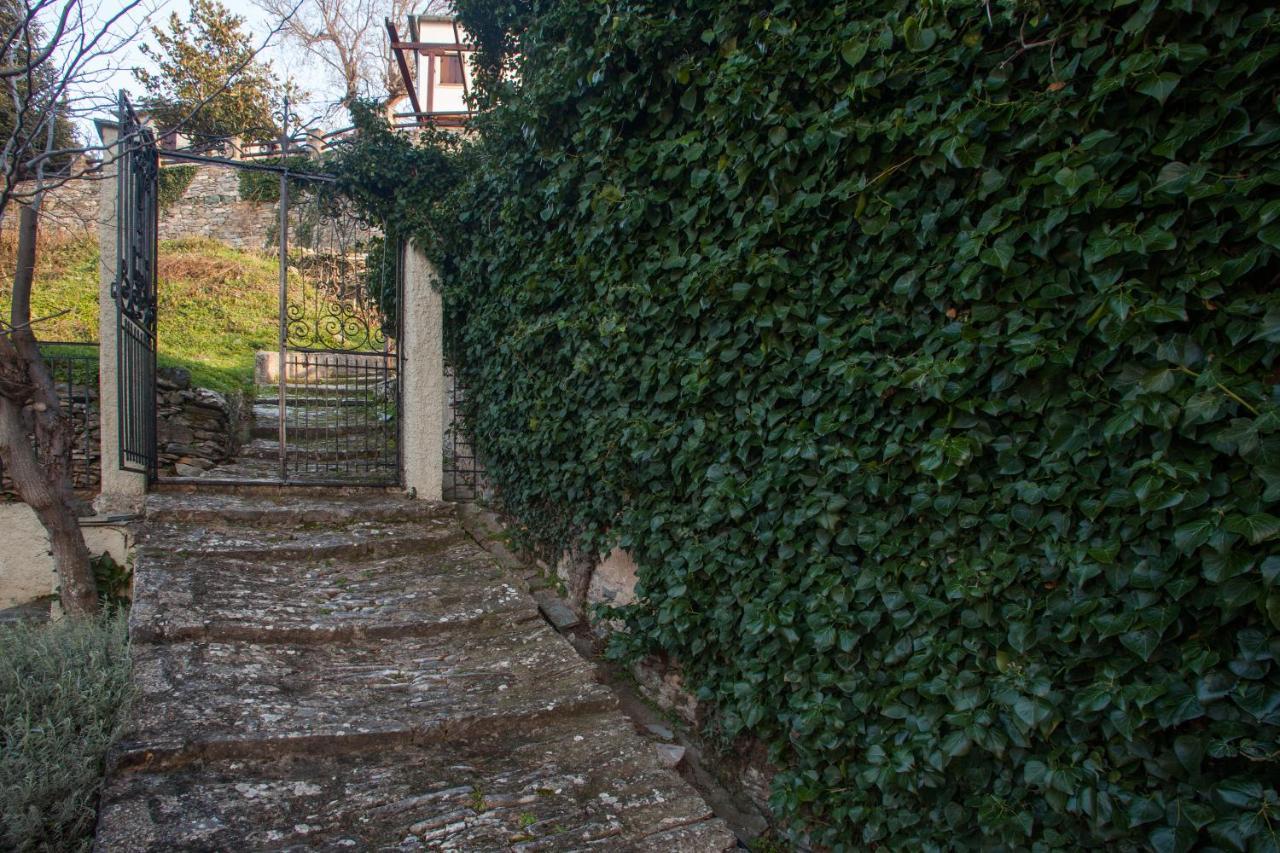 Villa Evridiki By Pelion Esties Агиос-Георгиос-Нилиас Экстерьер фото